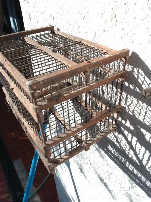 Gaiola com ripas estreitas