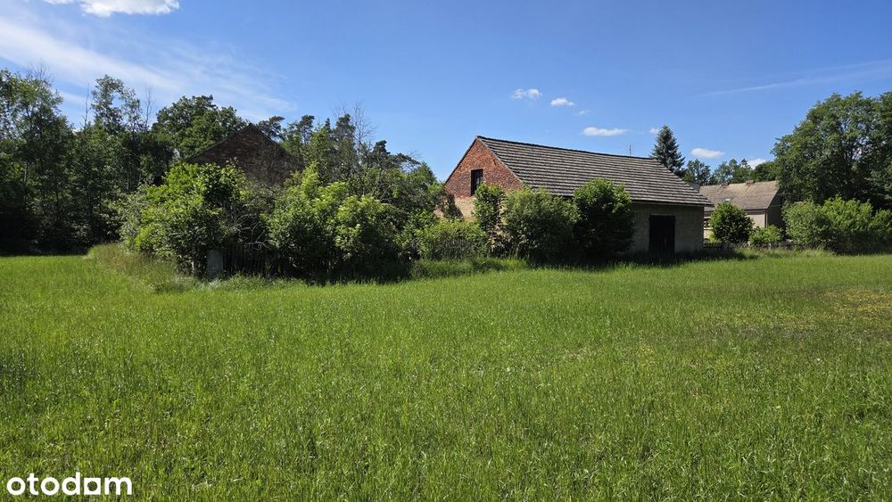 Dom/Siedlisko / ranczo / gospodarstwo /  6,4 ha + las + staw