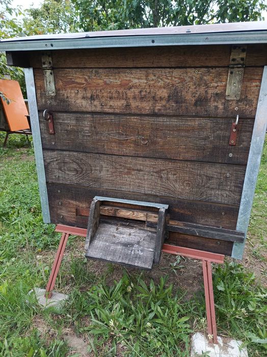 Miód Naturalny z własnej pasieki