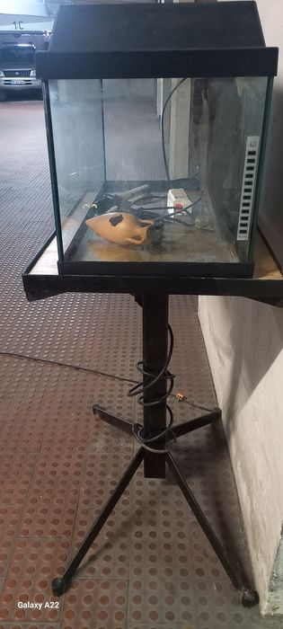 Aquário 60cm com painel de fundo, termostato e suporte