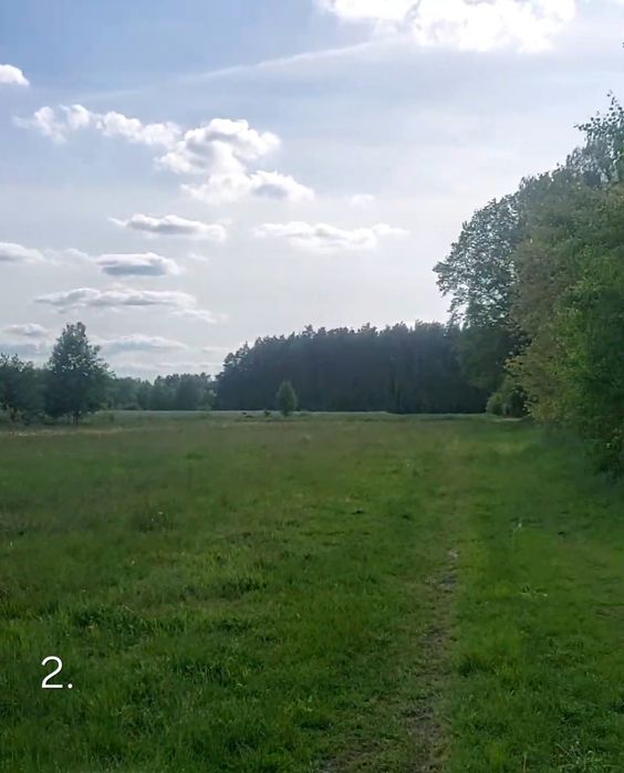 Orpelów gm Dobroń działka 6736 m2 MPZP możliwość podziału