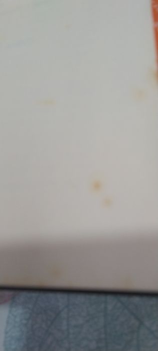 Brincadeira de crianças. Portes incluídos