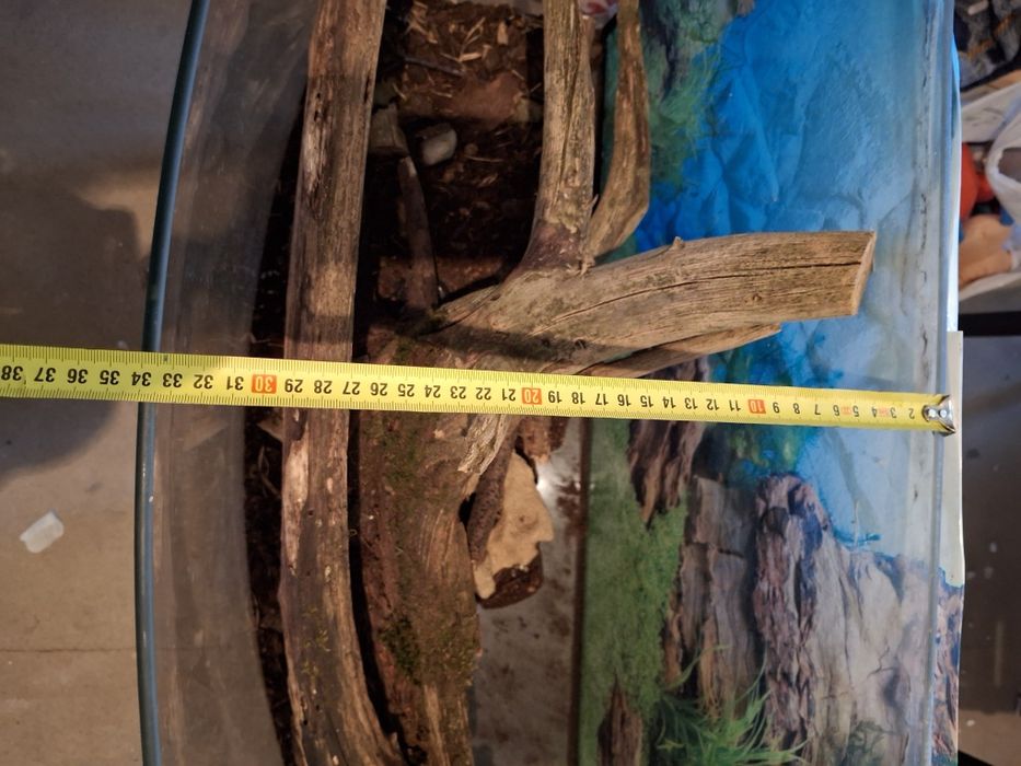 Terrarium dla jaszczurki węża 80x45x35