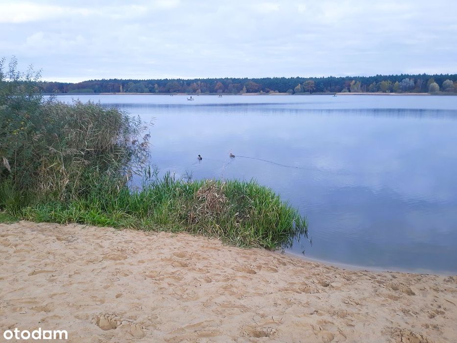 Duża działka w otoczeniu lasu i jeziora – Józefina