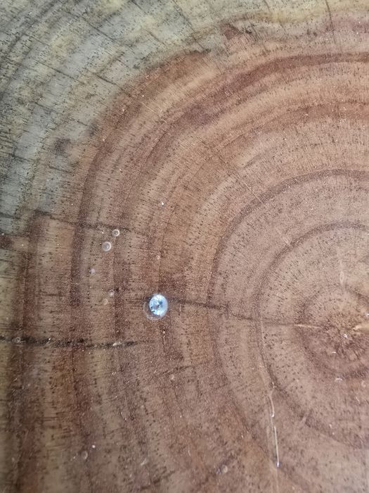 Mesa unica e exclusiva madeira e diamante