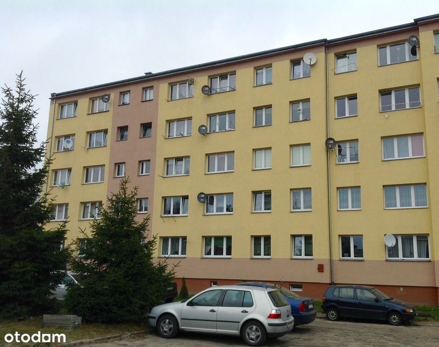 Słoneczne, dwupokojowe mieszkanie na wynajem