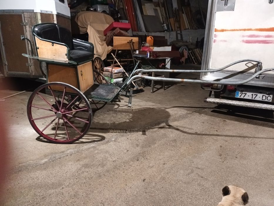 Charrete confortável com suspensão ajustavel