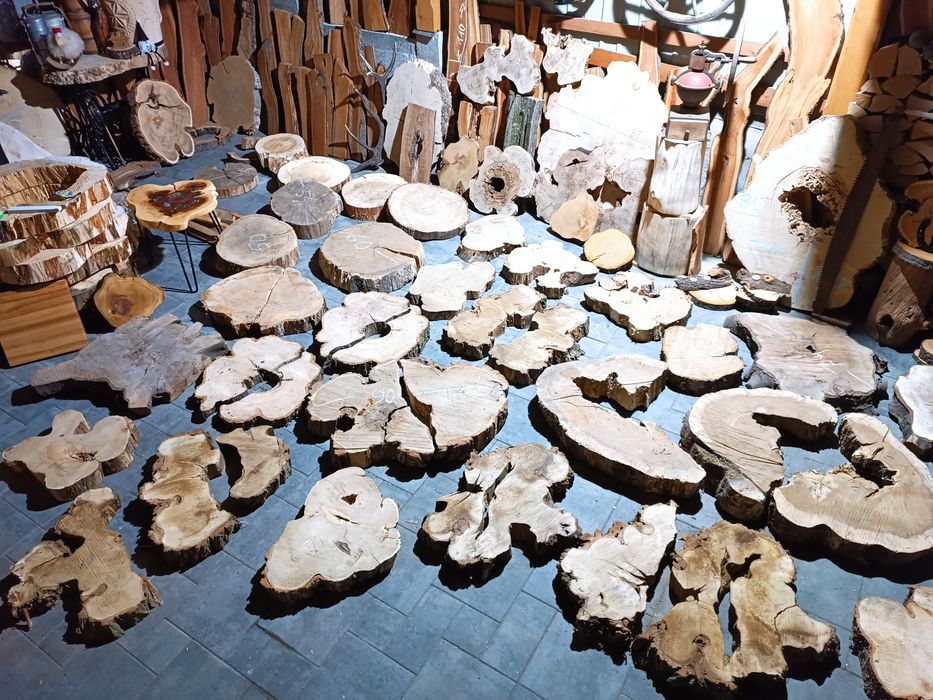 Plaster drewna akacja drzewo dąb śliwa Czeczot topola klon plastry hit