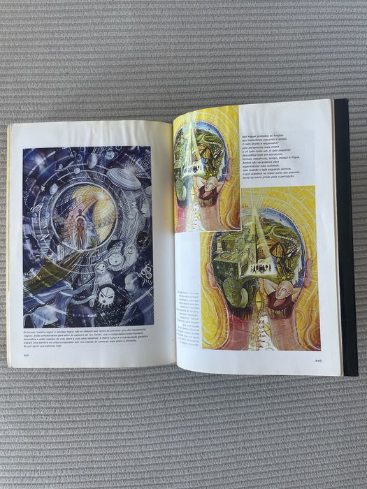 Livro "Raça Humana, Ergue-te: O Leão Já Não Dorme Mais" – David Icke (Esgotado)