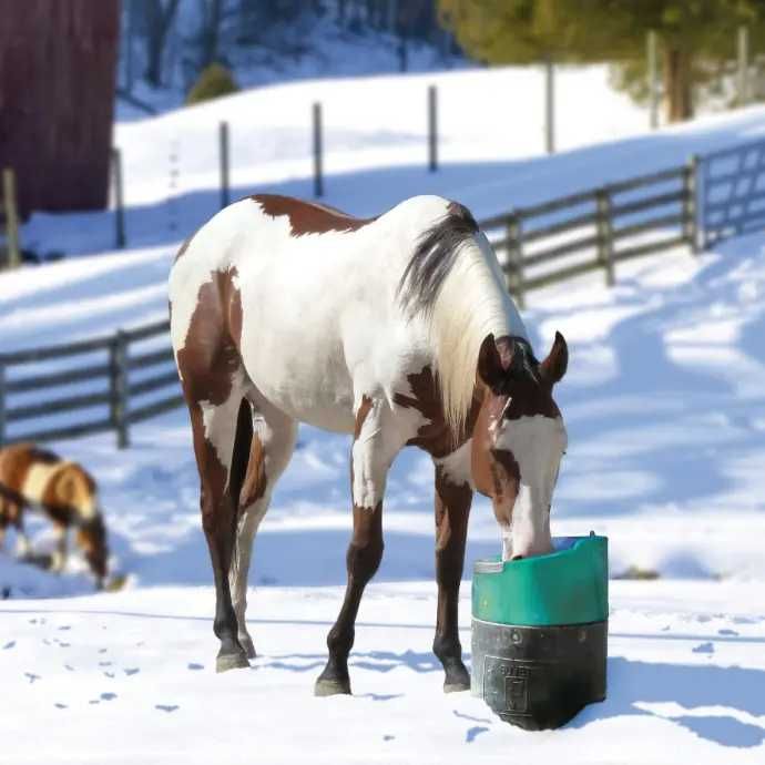 Poidło podgrzewane La Buvette LAKCHO, 24V / 50W