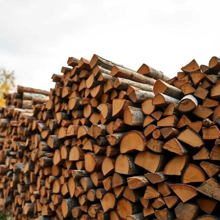 Sezonowane drewno kominkowe i opałowe