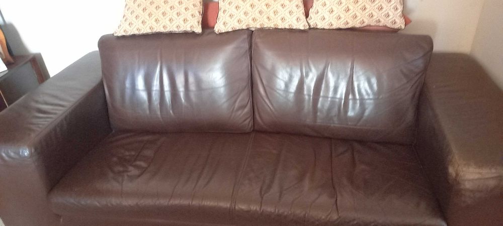 Sofá em Pele já com alguns anos