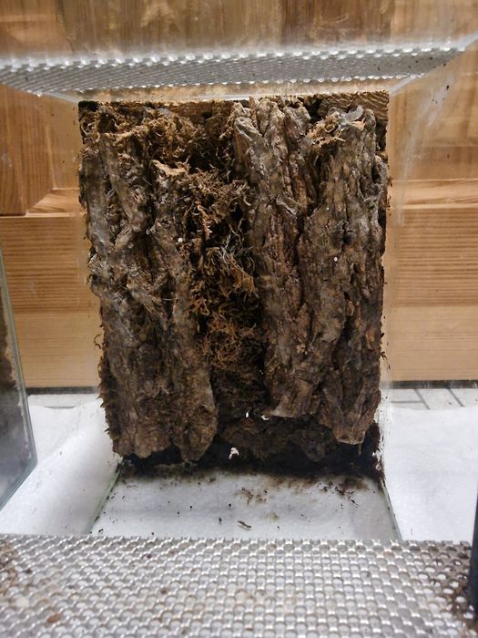 Terrarium szklane – 15×15×20 cm