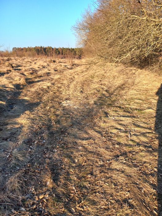 Земля в Бохониках, біля Бугу