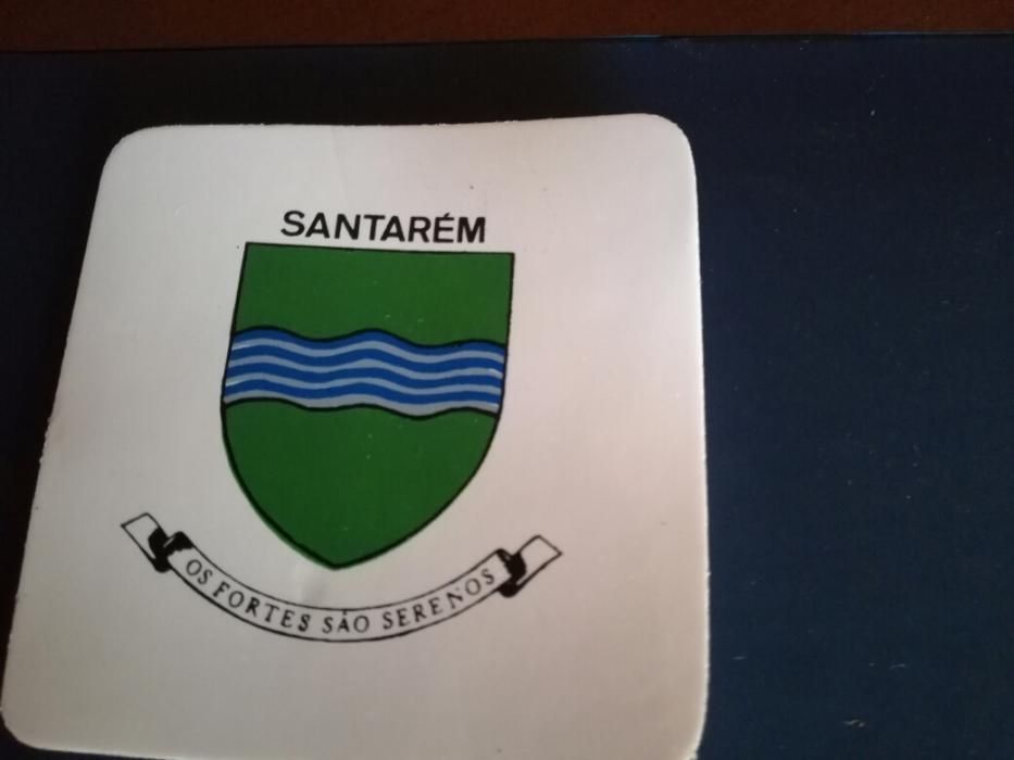 PSP - Santarém - distintivo