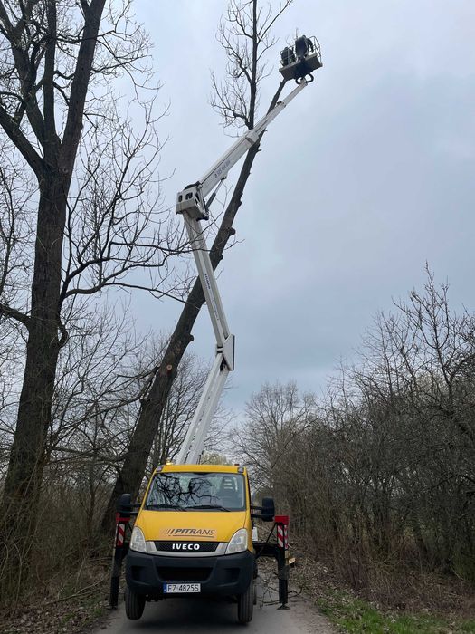 Przycinka drzew, czyszczenie rynien. Podnośnik koszowy.