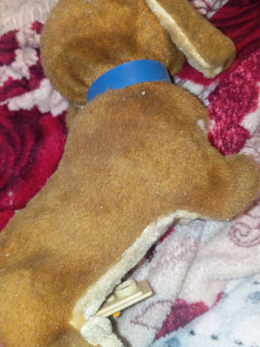Cão sem pilhas n sei se funciona