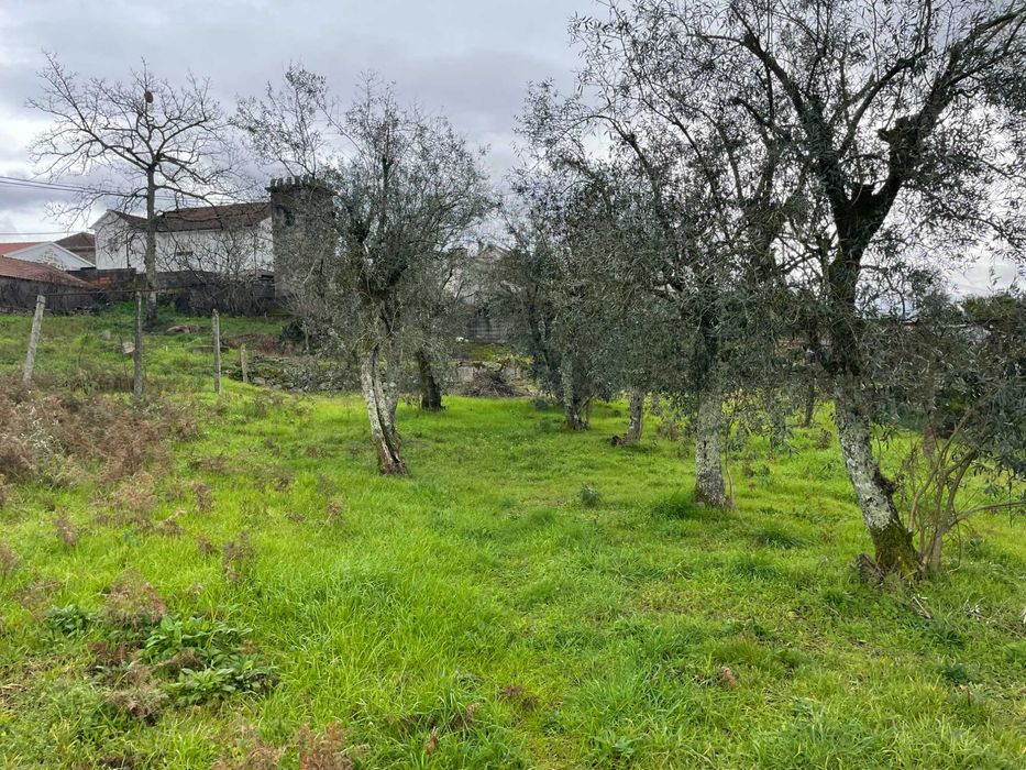 Terreno para Construção - Abragão - Penafiel