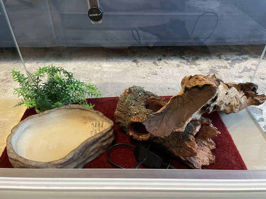 Тераріум + інші зоотовари