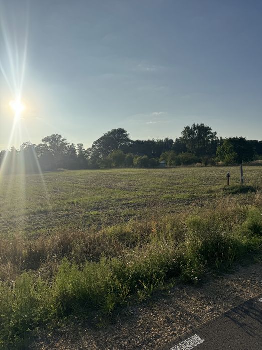 4 DZIAŁKI BUDOWLANE - MPZP - 9300 m² - Zamoście Kolonia - Widok 5
