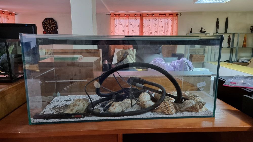 Aquário com  bomba de limpeza e armário de arrumação
