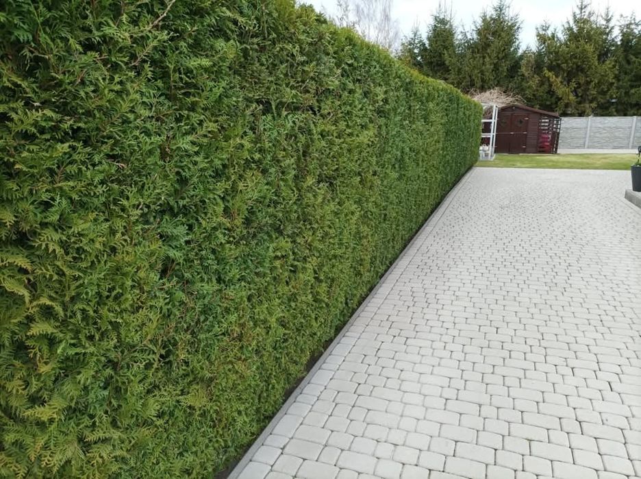 Pielęgnacja/Zakładanie ogrodów, usługi miniładowarką 100cm szerokości!