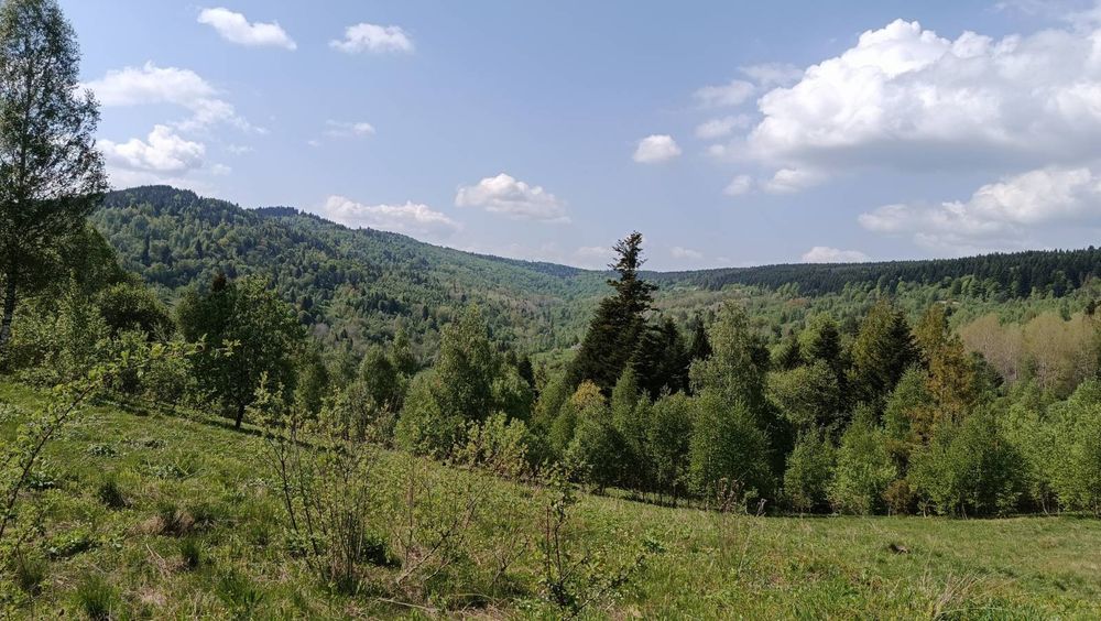 Земельна ділянка Новий Кропивик