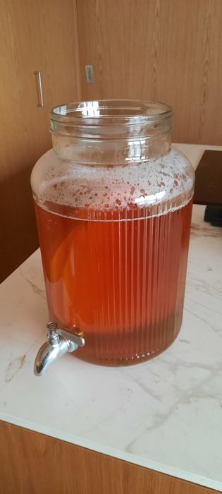 Kombucha, Scooby + Starter
