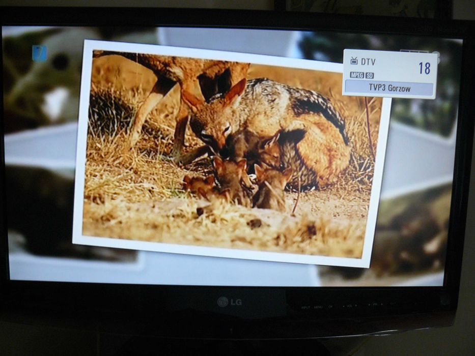 Telewizor LG z pilotem 24 cale FHD
