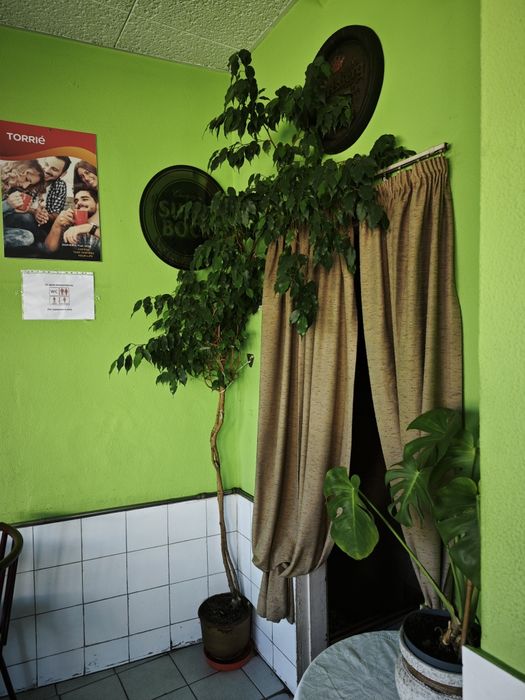 Trespasse de café