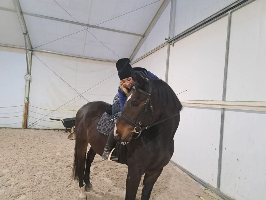 Pensjonat hotel dla koni. Wolny boks