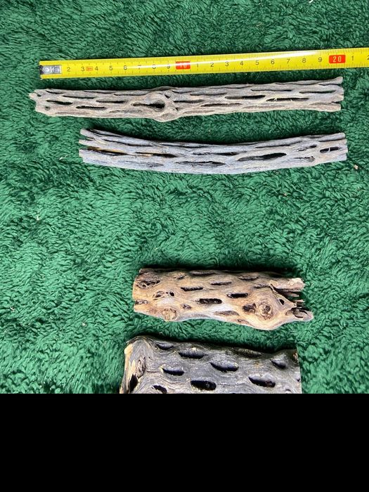 Cholla Wood QUALIDADE PREMIUM