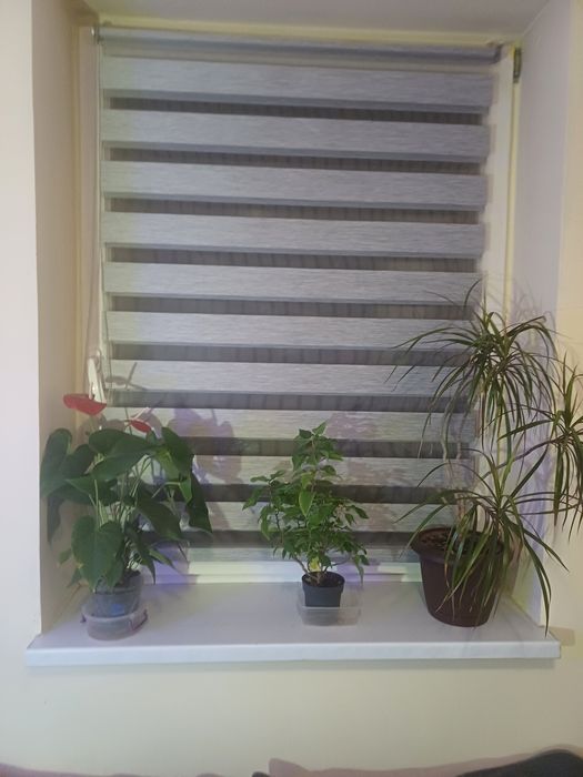 4x rolety dzień- noc