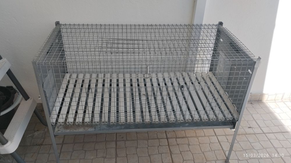 Gaiola preço de amigo