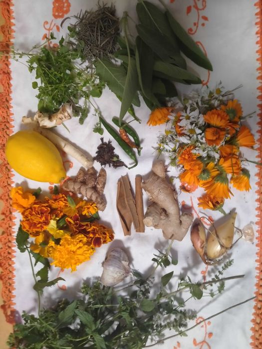 Oxymel na bazie octu z szalwii lekarskiej, miodu rzepakowego ziol