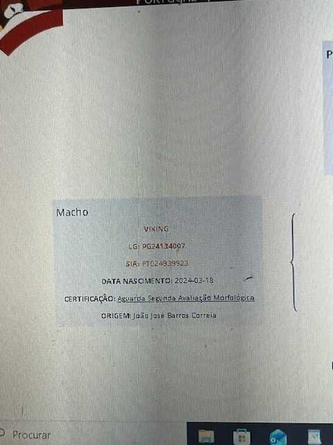 touro limousine registado