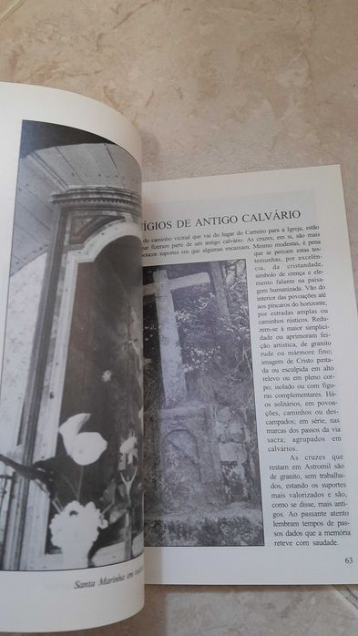 Monografia do Concelho de Paredes : 2 Freguesia de Astromil