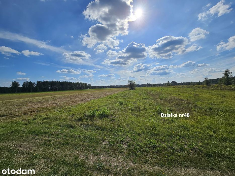 Własne Miejsce W Puszczy Białowieskiej–Cisza, Natura I Off-Grid 0,56Ha
