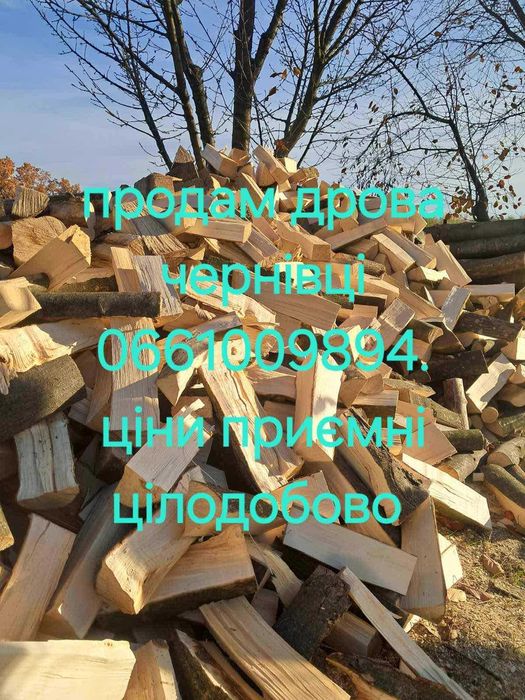 Продам дрова  тверда порада чернівці