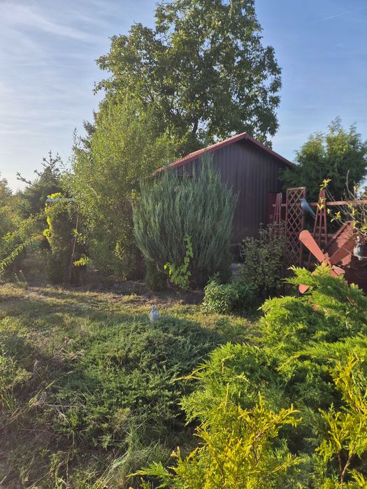 Działka ROD Głogów ,,Kolejarz'' - 348m2