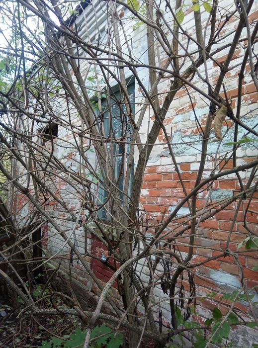 Участок с домом. Новый Мерчик.