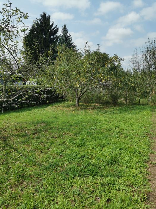 Działka ROD Zalesie Rzeszów