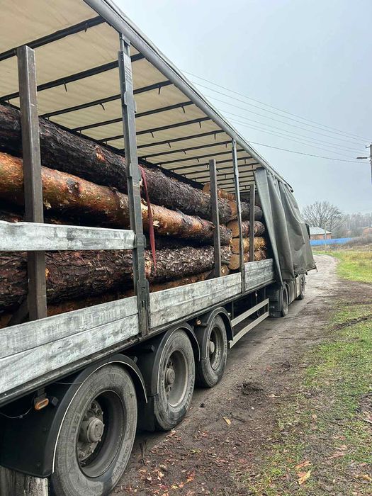 Пиломатериали Кругляк