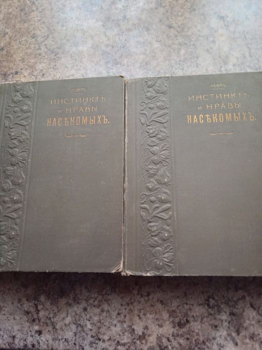 Історія України в документах
