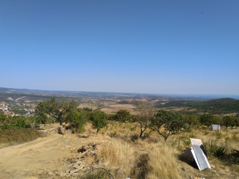 Mel, Pólen, Favo de mel e Cera de Abelha