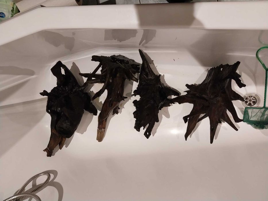 Korzenie do akwarium