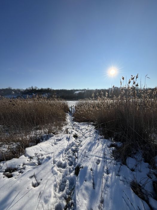 Будинок і земля біля річки 71сотка Жмеринський рн., с. Межирів