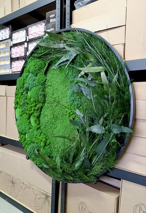 Панно з Моху. Декор з Мохом. Фітокартина зі Стабілізованим Мохом