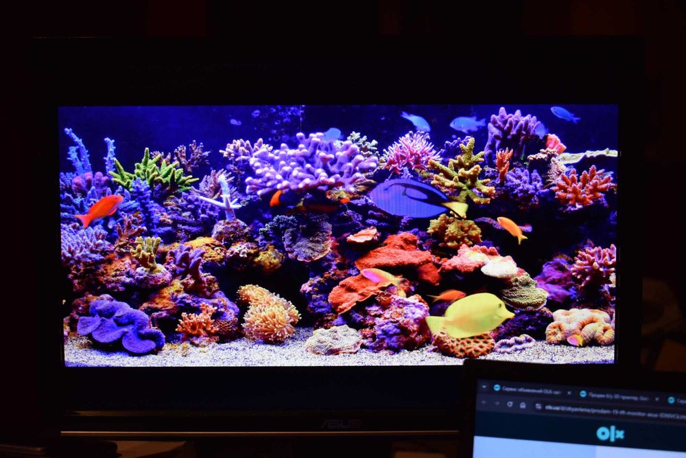 Продам 19" TFT-монитор Asus