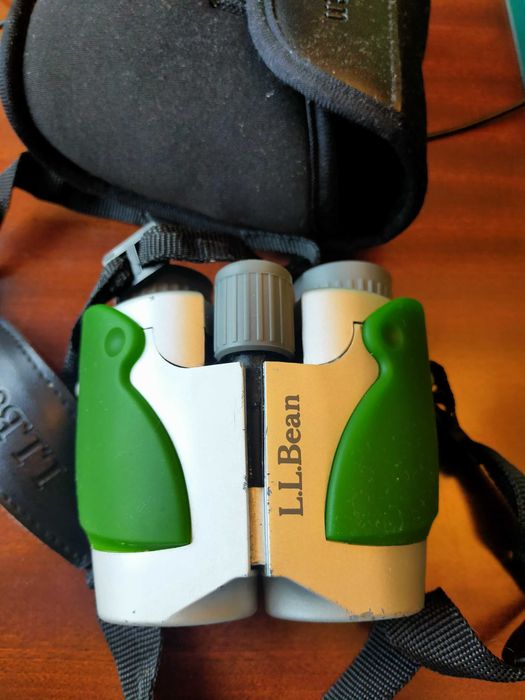 L.L. Binóculos Bean Bushnell Discovery 8x25 com estojo original